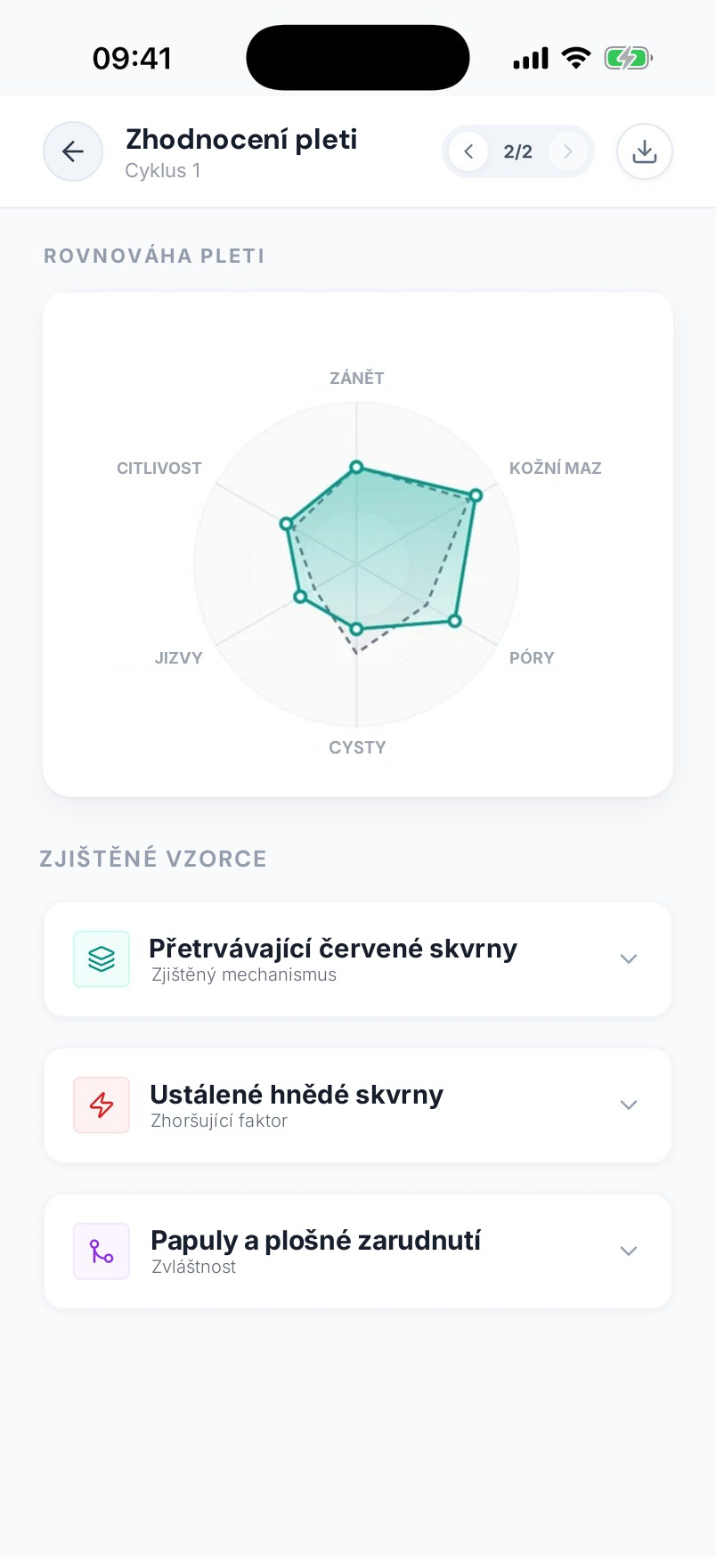 Zhodnocení pleti: rovnováha pleti a zjištěné vzorce